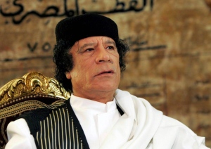 gheddafi cat reporter