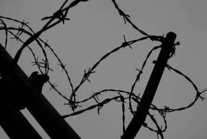 ungheria serbia confine